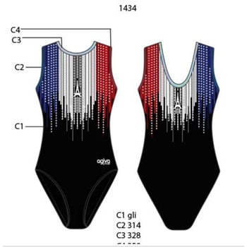  nous Paris leotard sublimated by a fountain of rhinestones, for captivating athletic elegance 1434